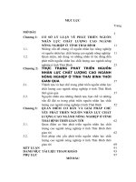 LUẬN văn THẠC sĩ   PHÁT TRIỂN NGUỒN NHÂN lực CHẤT LƯỢNG CAO NGÀNH NÔNG NGHIỆP TỈNH THÁI BÌNH HIỆN NAY