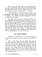 hoi dap ve cay mia va ky thuat trong phan 2