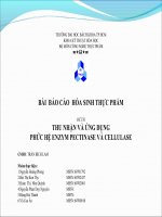 ĐỀ TÀI THU NHẬN VÀ ỨNG DỤNGPHỨC HỆ ENZYM PECTINASE VÀ CELLULASE