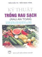 Kỹ thuật trồng rau sạch phần 1