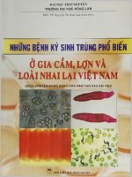 Những bệnh ký sinh trùng phổ biến trên gia cầm p1