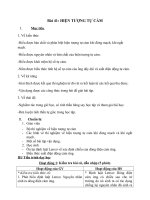 bai 41 hien tuong tu cam1