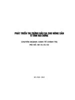 LUẬN văn THẠC sĩ KINH tế CHÍNH TRỊ   PHÁT TRIỂN đầu RA CHO THỊ TRƯỜNG NÔNG sản ở TỈNH hải DƯƠNG HIỆN NAY
