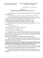 bao cao thanh tra nhan dan 2016