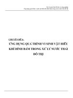 Ứng dụng quá trình vi sinh vật hiếu khí dính bám trong xử lý nư