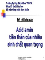 Đề tài acid amin tiền thân của nhiều sinh chất quan trọng