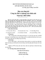 BAO CAO TONG KET DOI NĂM 2015-2016