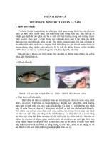 giáo trình khoa học tự nhiên về cây trồng