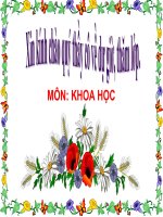 Bai 12 phong benh sot ret