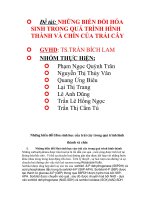 Nhung bien doi hoa sinh trong qua trinh hinh thanh va chin cua trai cay 