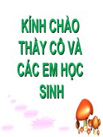 Bai 47 hoa  TNXH giáo án điện tử