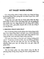 Kỹ thuật trồng và chăm sóc cây nhãn phần 2