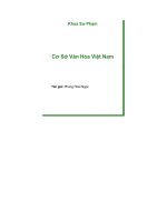 Co so van hoa viet nam