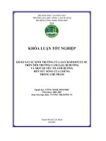 khảo sát sự sinh trưởng của saccharosemyces sp trên môi trường cám gạo, rỉ đường và một số yếu tố ảnh hưởng đến sức sống của chúng trong chế phẩm