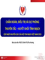 Chẩn Đoán, Điều Trị Và Dự Phòng Thuyên Tắc Huyết Khối Tĩnh Mạch