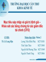 Thuyết trình môn sáp nhập và mua lại công ty mục tiêu sáp nhập và giá trị định giá khảo sát các bằng chứng từ các giám đốc tài chính CFO 