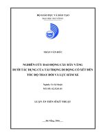 Nghiên cứu dao động cầu dây văng dưới tác dụng của tải trọng di động có xét đến tốc độ thay đổi và lực hãm xe