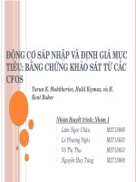Thuyết trình môn sáp nhập và mua lại công ty động cơ sáp nhập và định giá mục tiêu bằng chứng khảo sát từ các CFOs 