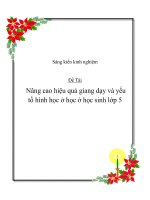 Sáng kiến kinh nghiệm   nâng cao hiệu quả gỉang dạy và yếu tố hình học ở học ở học sinh lớp 5 