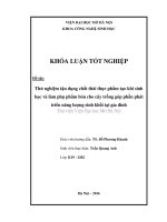 Thử nghiệm tận dụng chất thải thực phẩm tạo khí sinh học và làm phụ phẩm bón cho cây trồng góp phần phát triển năng lượng sinh khối tại gia đình 