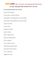 Từ vựng - Ngữ pháp Tiếng Anh lớp 8 Unit 4: Our past