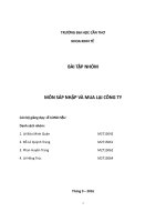 Tiểu luận môn sáp nhập và mua lại công ty kế hoạch hội nhập 