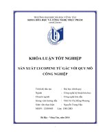 SẢN XUẤT LYCOPENE TỪ GẤC VỚI QUY MÔ CÔNG NGHIỆP