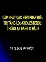 Cập Nhật Các Biện Pháp Điều Trị Tăng LDL CHOLESTEROL