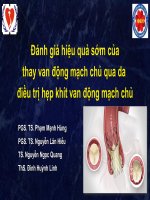 Đánh Giá Hiệu Quả Sớm Của Thay Van Động Mạch Chủ Qua Da Điều Trị Hẹp Khít Van Động Mạch Chủ