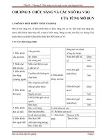 Báo cáo thực tập điện thân xe huyndai sonata ( kèm file full ảnh)