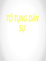 thuyet trinh to tung dan su