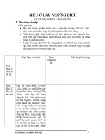 Giáo án Ngữ văn 9 Bài Kiều ở lầu Ngưng Bích