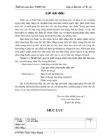 đồ gá phay then hoa lăng trục oto ( kèm bản vẽ)