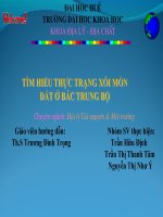 TÌM HIỂU THỰC TRẠNG XÓI MÒN ĐẤT Ở BẮC TRUNG BỘ