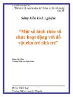 Sáng kiến kinh nghiệm một số hình thức tổ chức hoạt động với đồ vật cho trẻ nhà trẻ 
