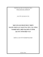 Một số giải pháp phát triển ngồn nhân lực đáp ứng nhu cầu công nghiệp hóa, hiện đại hóa ở tỉnh quảng ninh hiện nay 