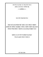 Một số giải pháp để thúc đẩy phát triển kinh tế nông nghiệp, nông thôn trên địa bàn tỉnh vĩnh phúc trong giai đoạn hiện nay 