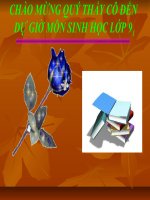 Bài giảng điện tử ADN thao giảng sinh học 9 (15) 