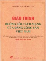 Giáo trình đường lối cách mạng của Đảng Cộng Sản Việt Nam