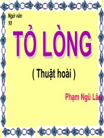 Tỏ lòng Thuật hoài Phạm Ngũ Lão