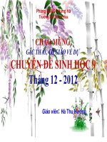 Bài giảng chuyên đề bài tập về ADN và ARN (2) 