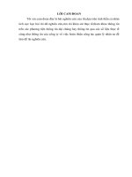 Báo cáo nghiên cứu khoa học: Hoàn thiện công tác quản trị nhân sự tại công ty siêu thị điên máy home center