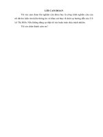 Báo cáo nghiên cứu khoa học: Giải pháp để nông cao trình độ chuyên môn nghiệp vụ ,tác phong làm việc về công tác văn thư tại UBND xã yên lạc ,huyện lạc thủy,tỉnh hòa bình