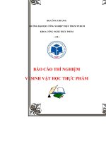 Bao cao thi nghiem vi sinh hoc thuc pham- Vo Thi Truc Ly (nhom 2, lop sang thu 3 . phong G108)