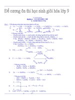 Đề cương ôn thi học sinh giỏi môn hóa học lớp 9 