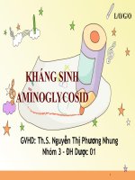 BÀI BÁO CÁO KHÁNG SINH NHÓM AMINOSID