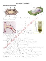 DE CUONG ON TAP KIEM TRA 1 TIET HOC KY 1 SINH HOC 6 moi soan