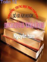 Bài giảng Giải tích 12 chương 3 bài 1: Nguyên hàm