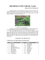 MÔ HÌNH VƯỜN THUỐC NAM TRƯỜNG HỌC
