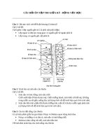 Câu hỏi ôn tập thi giữa kỳ   động vật học 